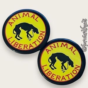 Bundle Sale 3 for $15 | Animal Activist | Animal Rights Pins